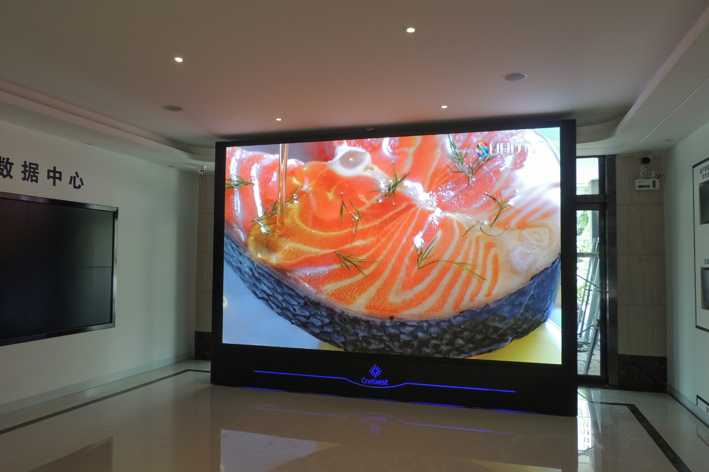 FI2W Indoor LED Wall In China